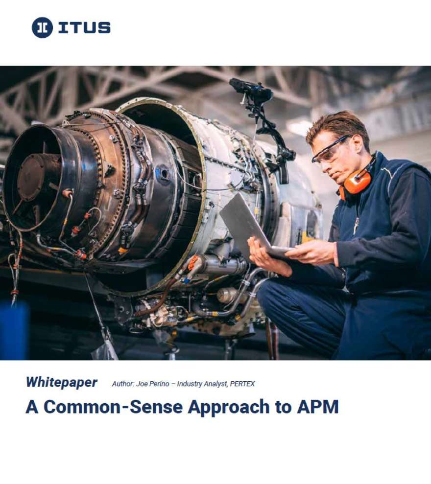 Whitepaper: Common Sense Approach to APM